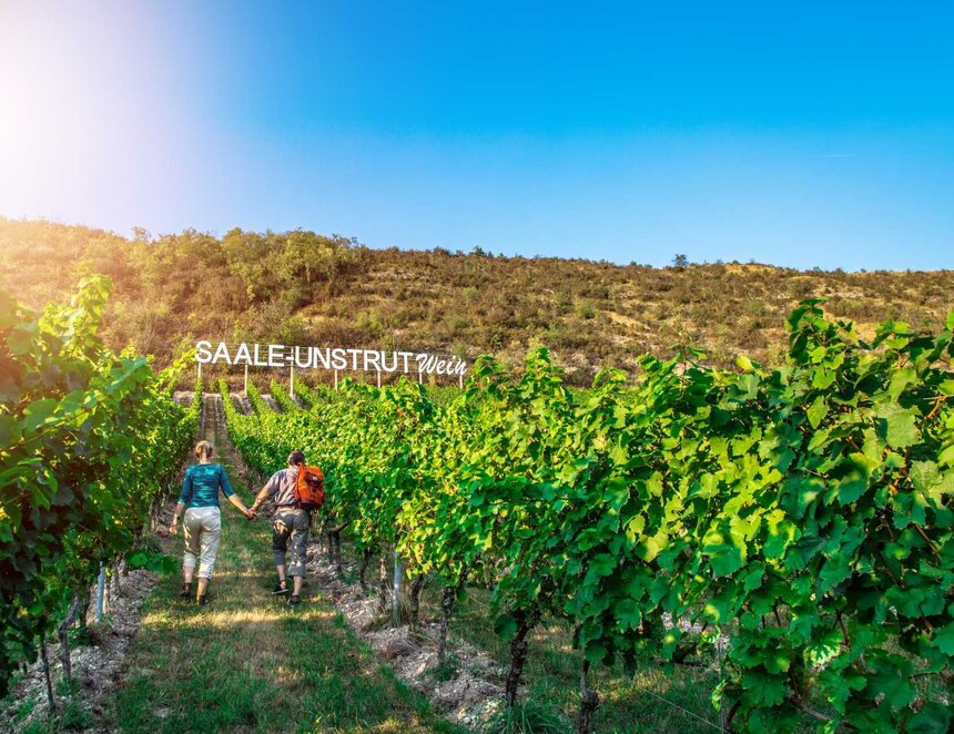 Wandern entlang der Saalhäuser Weinberge bei Bad Kösen