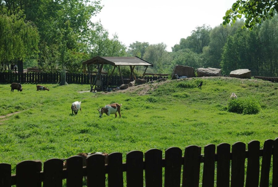 Südpark Merseburg mit Heimatnaturgarten