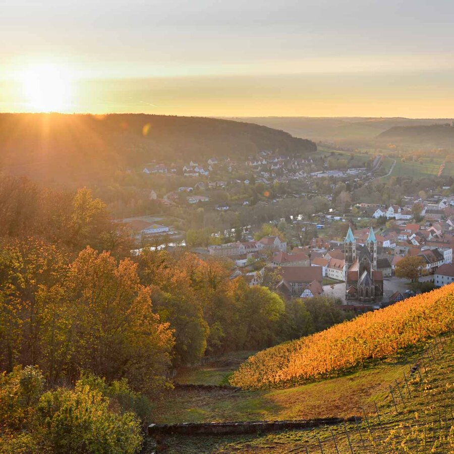 Herbstliche Weinberge im Sonnenuntergang mit Blick auf das Unstruttal und Freyburg