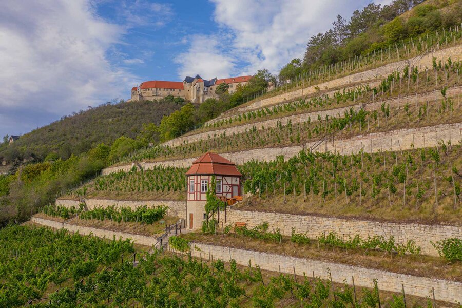 Herzoglicher Weinberg mit Weinbergshäuschen unterhalb von Schloss Neuenburg in Freyburg