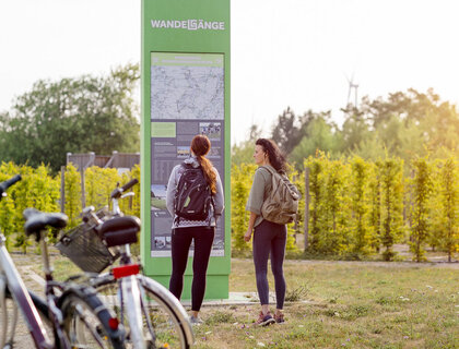 Wandelgänge Mondsee am Recarbo-Kohle-Radweg