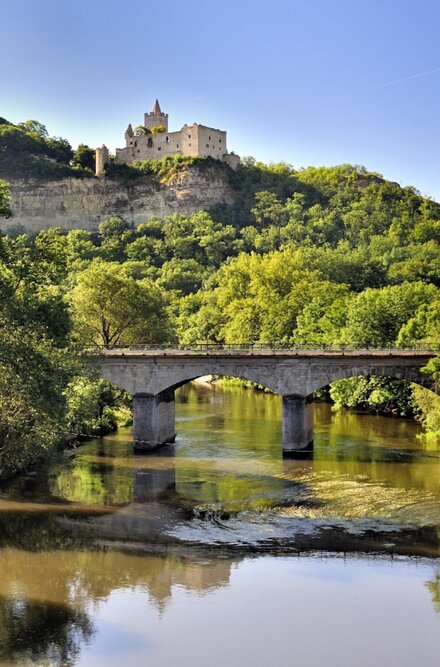 Rudelsburg bei Bad Kösen mit Saale und Saalebrücke