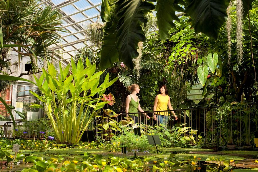 Spaziergang durch ein Gewächshaus im Botanischen Garten Jena