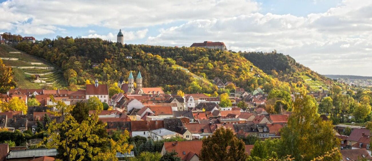 Freyburger Stadtansicht mit Blick auf das Schloss Neuenburg, die Stadtkirche St. Marien und den Schlifterweinberg.