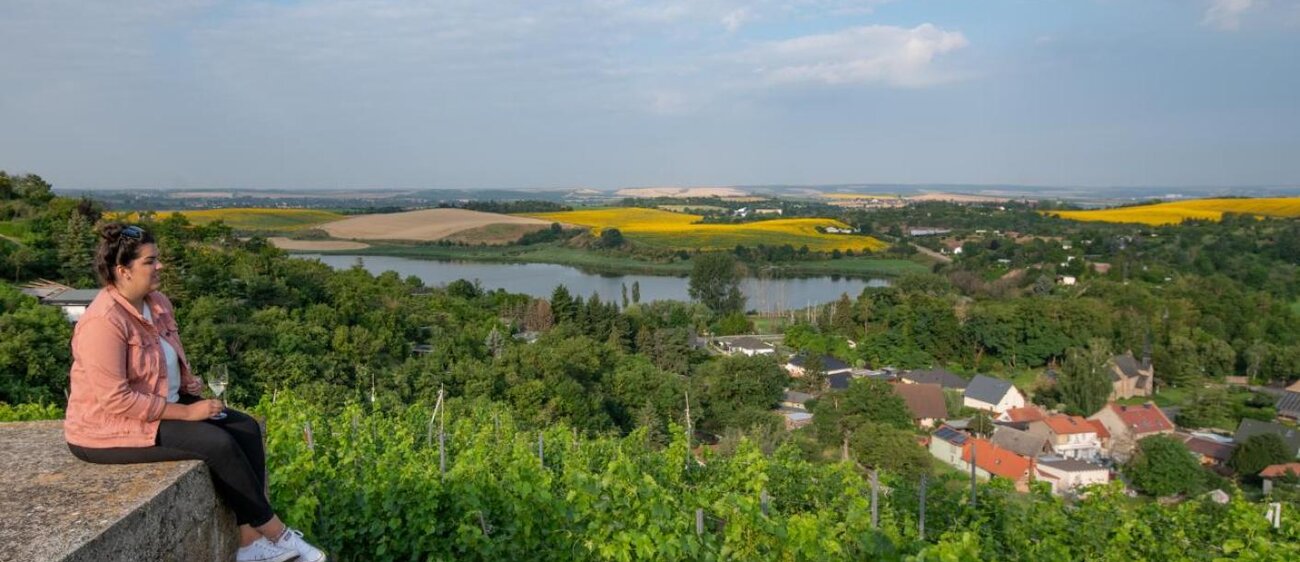 Sicht vom Kreisberg auf die Höhnstedter Weinberge.