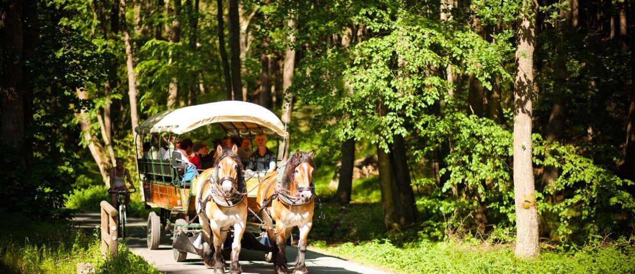 Kremser im Eisenberger Mühltal