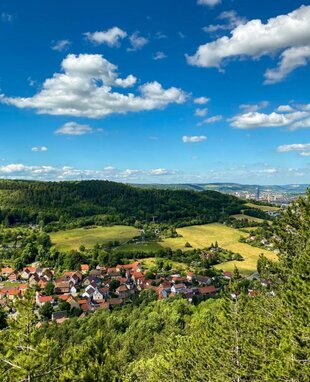 Blick über Ammerbach