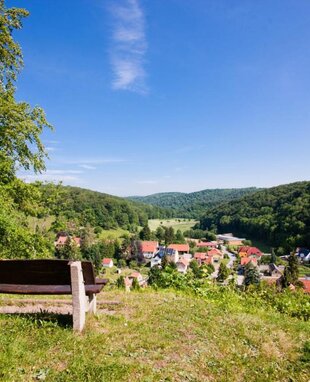 Blick über Tautenburg in den Hirschgrund-Tautenburg