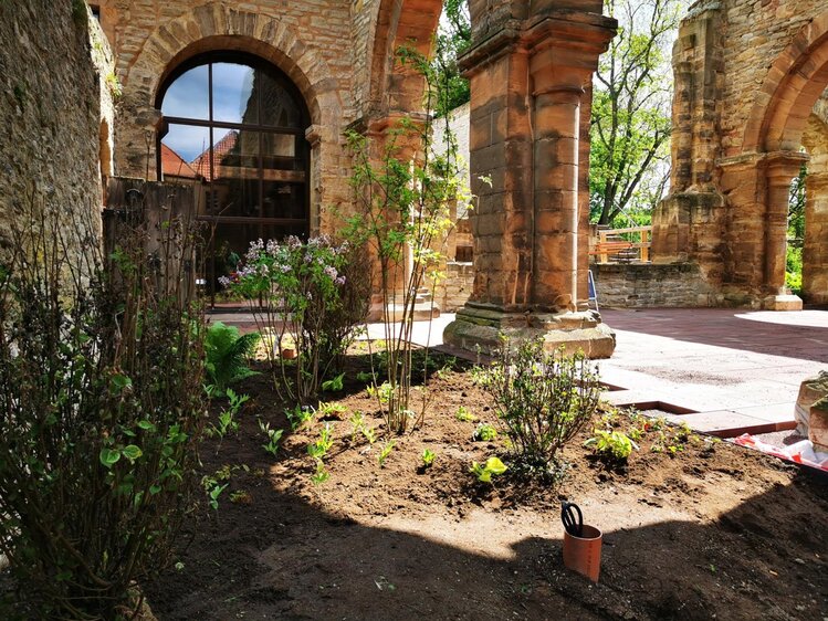 Öffentliche Sonderführung: Die Klosteranlage im Wandel - die letzten 40 Jahre 