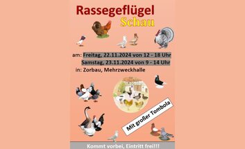 Rassegeflügelausstellung in Zorbau