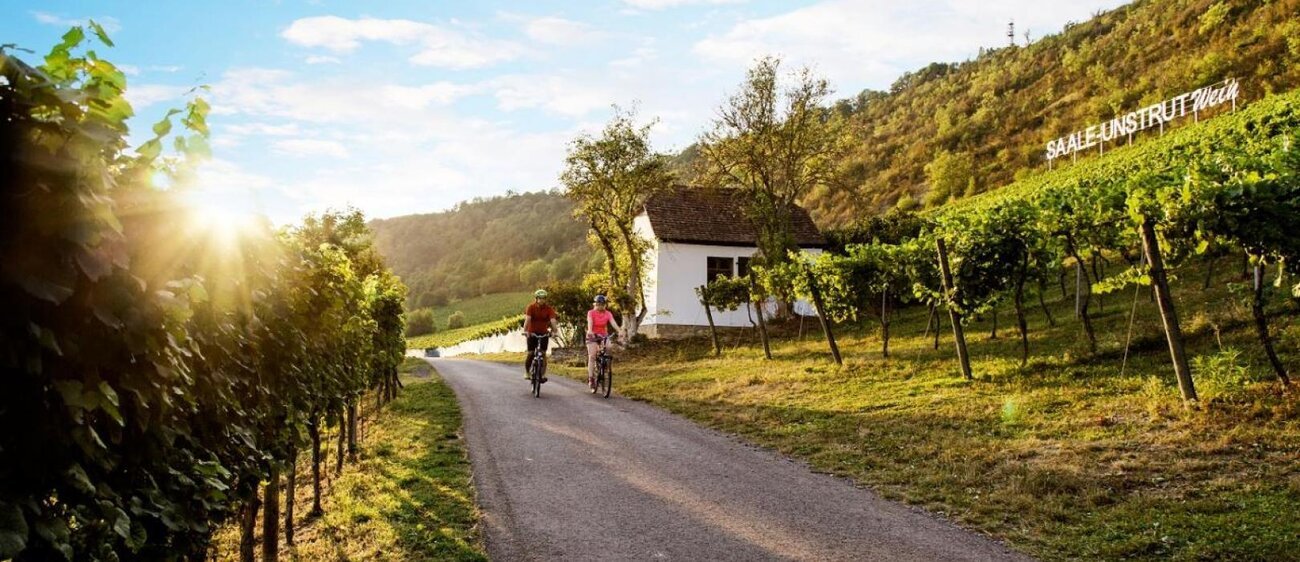 Radfahrer vor den Saalehäuser weinbergen bei Bad Kösen