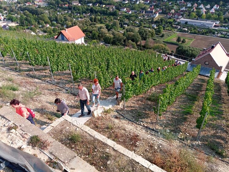 Weinwanderung zum Muttertag