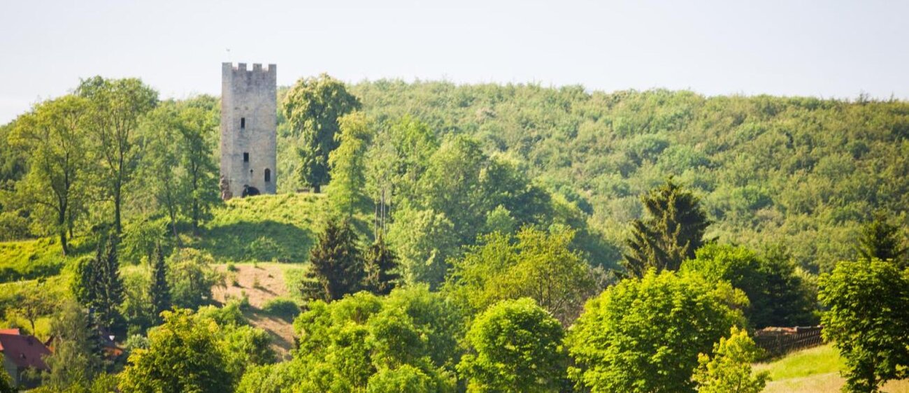 Burgruine Tautenburg-Tautenburg