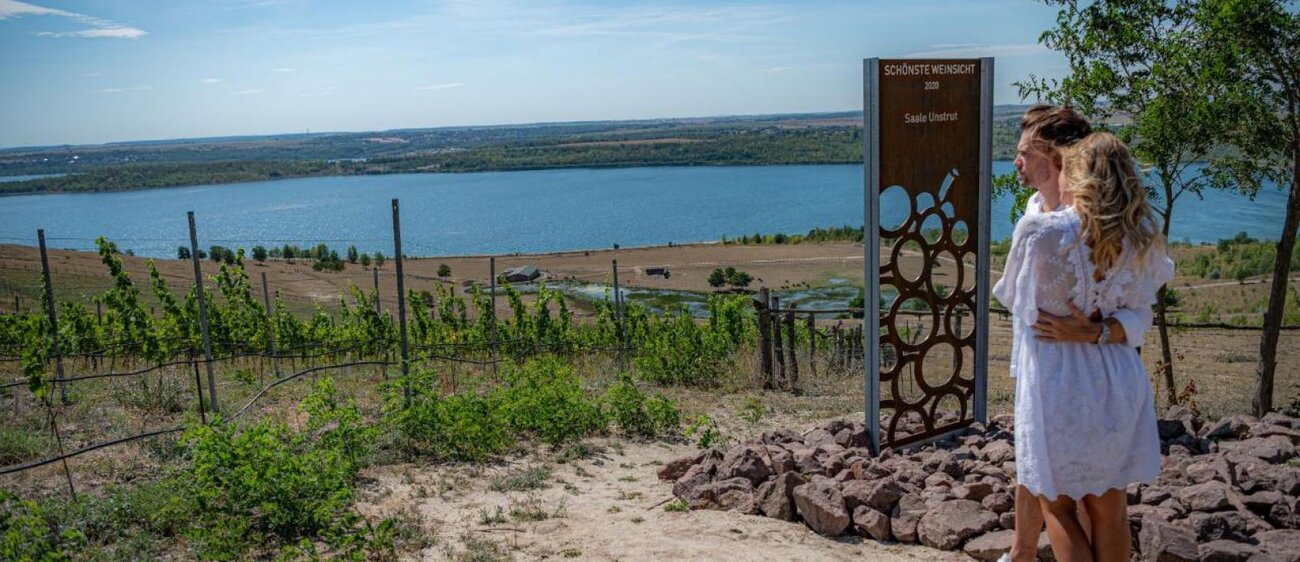 Geiseltalsee Aussicht am Weinberg Goldener Steiger, gekürt 2020 zur Schönsten Weinsicht Saale-Unstrut.