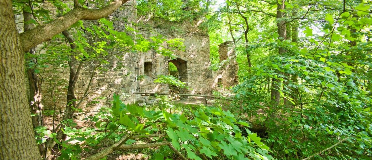 Blick auf die Burgruine Schauenforst in Uhlstädt-Kirchhasel