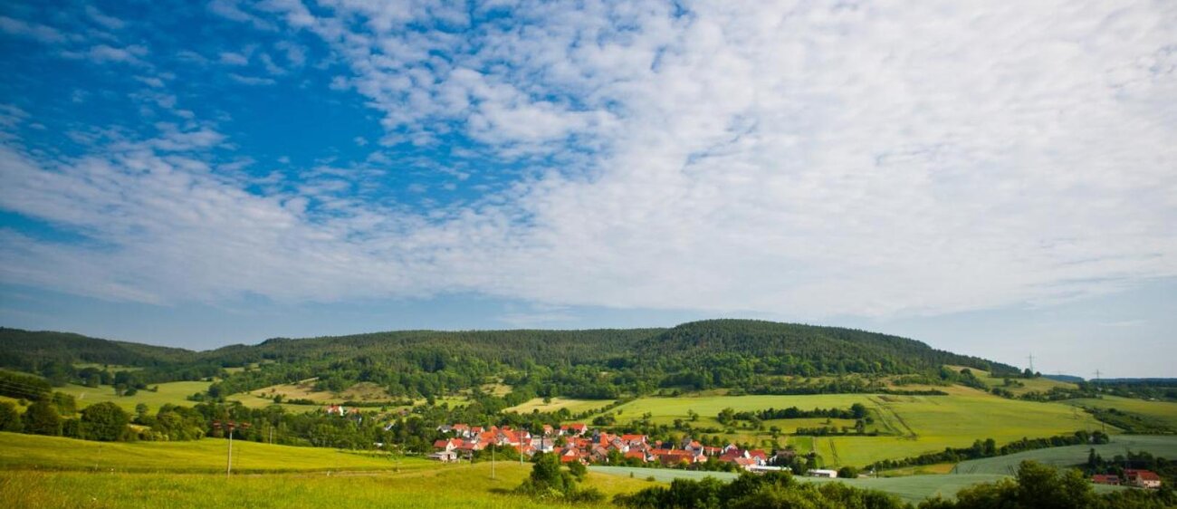 Landschaft im Reinstädter Grund