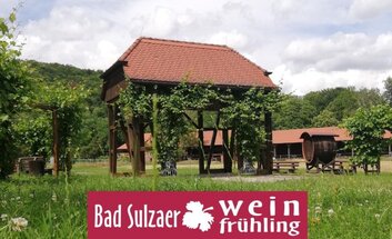 Bad Sulzaer Weinfrühling 2024