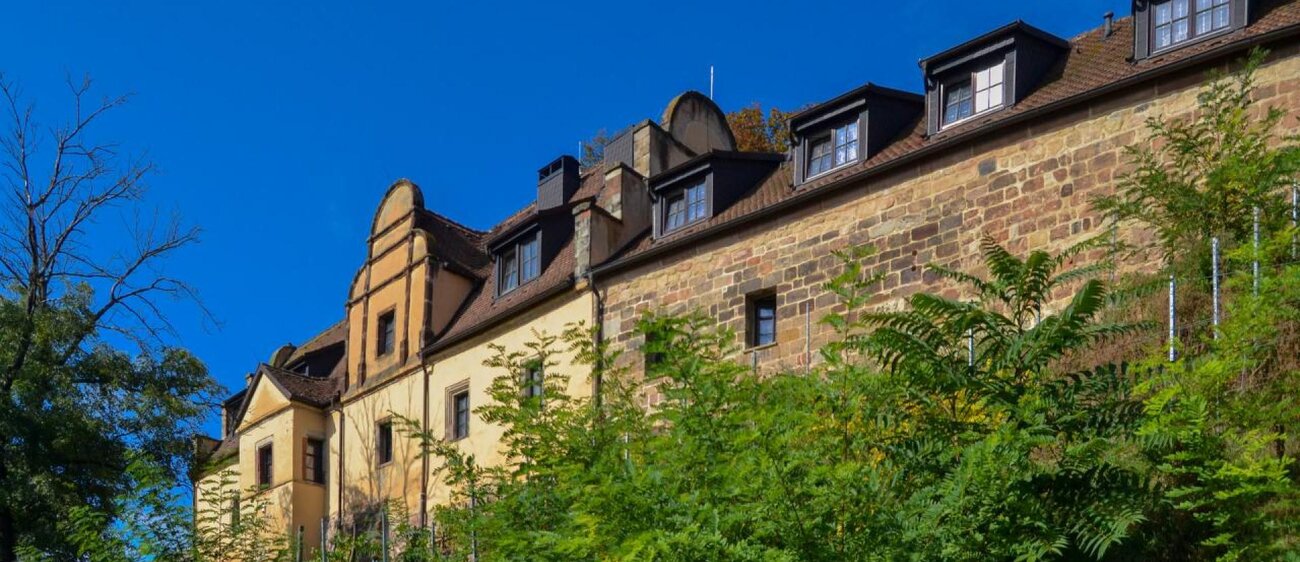 Burg Schönburg: Mittelalterliche Festung mit romanischem Bergfried in ...