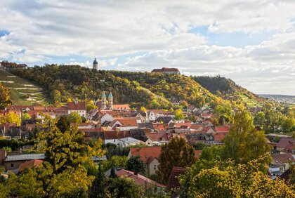 Freyburger Stadtansicht mit Blick auf das Schloss Neuenburg, die Stadtkirche St. Marien und den Schlifterweinberg.