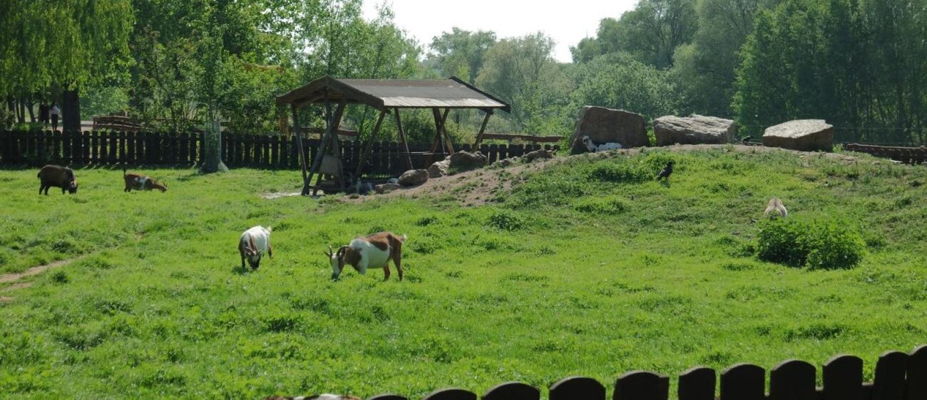 Heimattiergarten im Südpark Merseburg